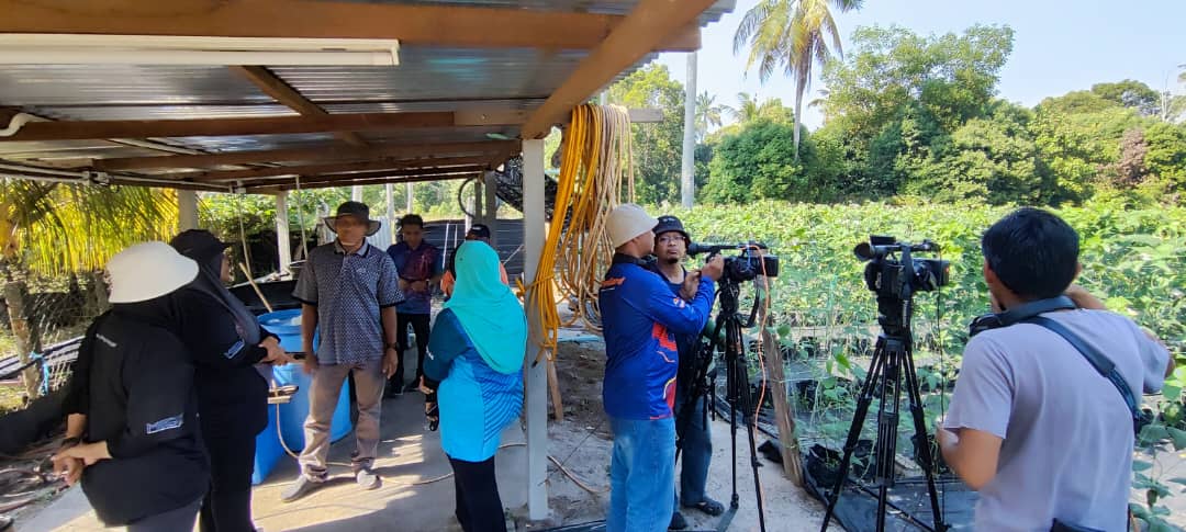 RAKAMAN RANCANGAN AGROTEK DI KEBUN KG BENTAN, PEKAN